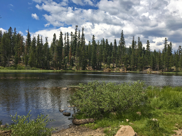 watson lake with bright green shrubs in foreground, pine trees and clouds in background