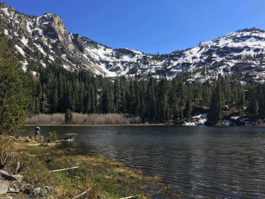 Lily lake near fallen leaf lake, with man throwing stick to dog and white mountains in background