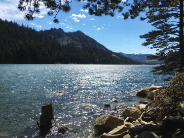 gold lake photo taken from shore with rocks in bottom right corner and mountains in background