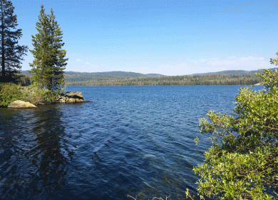 blue water fo gold lake with shrub on bottom right corner and edge of island along center left side of photo, clear blue sky above