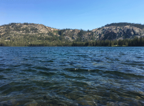 gold lake in foreground with rocky granite hills and pines just above its shoreline