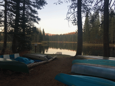 view of serene lake. forground is row boats and paddle boats on dirt beach under pine trees. serene lake in middle of photo. background is trees, mountain landscape, sky