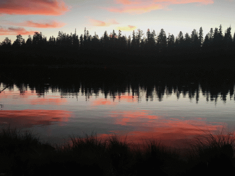 sunest over snag lake in gold lakes region with deep pink cloud reflections in the water and a few pink clouds in the sky, dark outline of pine trees in background