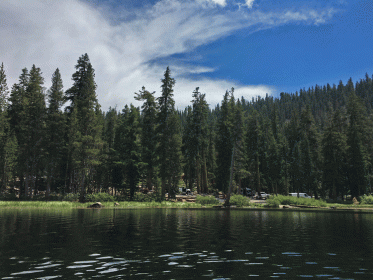 watson lake with pine trees above and campground along shore